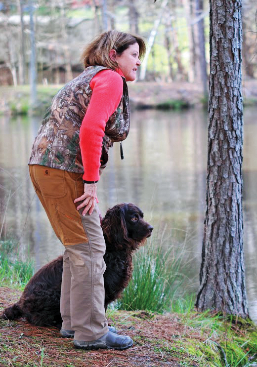 akc spaniel hunt test