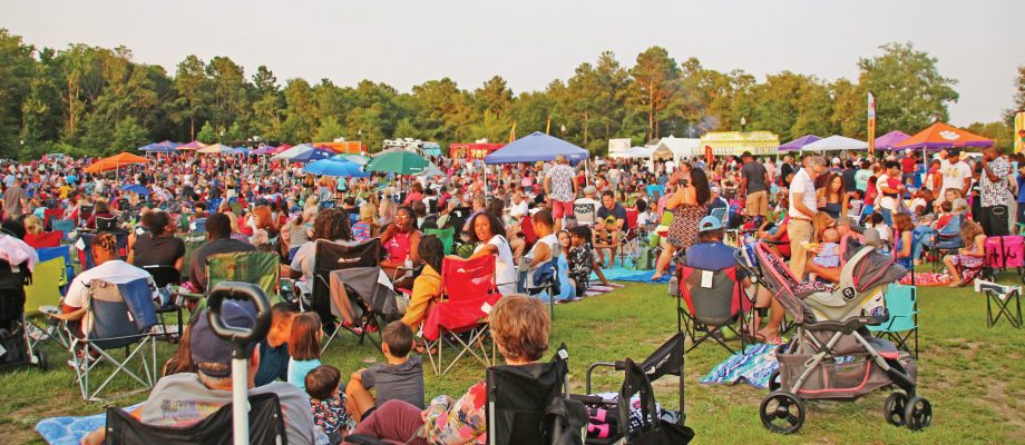 Council to appoint safety task force for Doko park