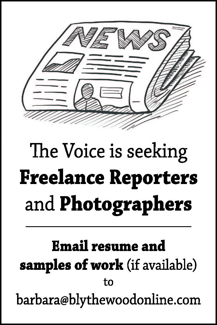 Bengal boys VB moves to 91 The Voice of Blythewood & Fairfield County