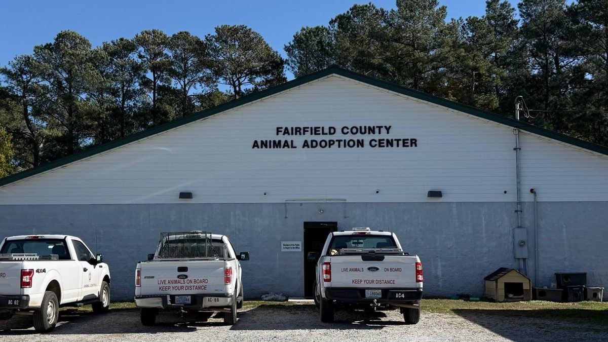 Fairfield County shuts down shelter volunteers after volunteer exposes safety concerns