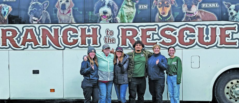 Holidays bring hope for Fairfield’s shelter animals