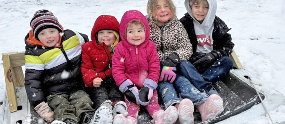 Richland Two Snow Days